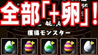 ついに出た！星宝の遺跡で全部「+卵」ドロップ！！（結果のみ）【パズドラ】