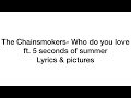 The Chainsmokers- Who do you love (lyrics & pictures) ft. 5 seconds of summer