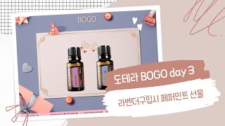 도테라 보고 프로모션-라벤더\u0026페퍼민트로 완성하는 힐링라이프