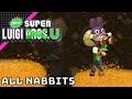 All Nabbits | New Super Luigi U