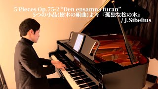 〈Day176〉5 Pieces Op.75-2 “Den ensamna furan”  5つの小品(樹木の組曲)より『孤独な松の木』/ J.Sibelius