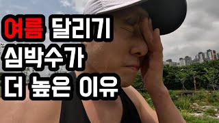 더우면 왜 심박수가 증가할까? I 심박출량과 혈액량 I 러닝브이로그