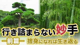 夜噺会　第115回　「行き詰まらない妙手／前篇」　捨身になれば生き返る