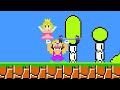 pixup super mario bros. but mario can buy all shin sonic