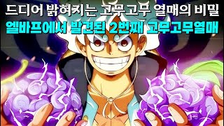 [원피스1130화Full 분석] 드디어 밝혀지는 고무고무 열매의 진정한 의미 엘바프에서 발견된 또다른 고무고무열매의 능력자