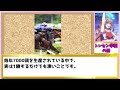 【ウマ娘 競馬】トレセン学園の闇５選【ゆっくり解説】