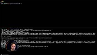 Running Pynt API security testing with Selenium and Playwright