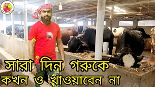 গরুকে কত বার খাবার দিবেন,, মীর কৃষি টিভি!cow farming in Bangladesh