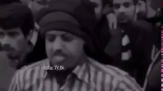 ابو رفعه يقول قصيدة من ذهب