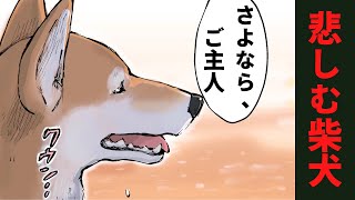 【世界の終わりに柴犬と】名言切り抜き#9 悲しむ柴犬