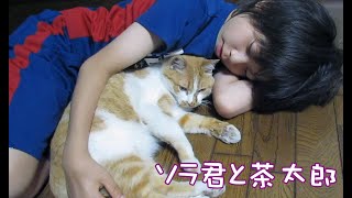 ソラ君と茶太郎　2012.6.5