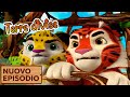 💥Nuovo episodio 2024💥 Terre divise 🐾🥚 (Episodio 30) 🦁🐯 Leo e Tig Italia