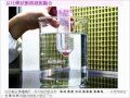 吳弘毅 分子檢測技術 07融合瘤 2