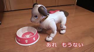 aibo  イチロー　ごはんのお代わりを要求する