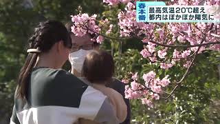 春本番！最高気温が2日連続で20℃超　東京都内ぽかぽか陽気に