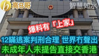 12港人瞞逃案判刑合理 世界冇聲出 爆料有「上家」 未成年人未提告直接交香港  誠邀加入網台 ［智慧如水］ 20201230