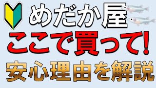 【メダカのたまご屋さん】安心してメダカの卵を購入するためのポイントとおすすめサイトを紹介