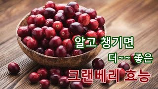 크랜베리 효능 효과 섭취시 주의사항 부작용