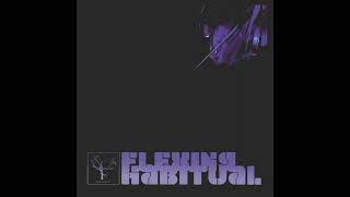 The Flashbulb – Flexing Habitual(2006)(Full Album)