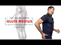 Awaken Glute Medius | Reduce Knee, Hip & Back Pain | Part 1 | For Yoga Teachers | By Ritesh Patel