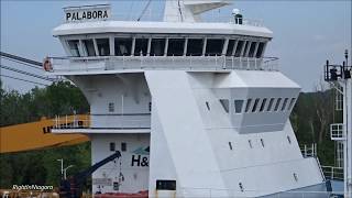 Ships PALABORA \u0026 Polsteam JUNO meet at Lock 4, Welland Canal (2018)