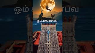 தீராத கஷ்டம் தீர, ஒரு நாள் செய்யுங்கள் பலன் கிடைக்கும் #trendingshorts #முருகப்பெருமான் #viralshorts