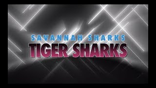 Savannah Sharks Tiger Sharks 2019-2020