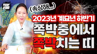 2023년 하반기 쪽박중에 쪽박나는 띠..?😱 이분들 계묘년 하고 좋을래야 좋을 수 없어요..