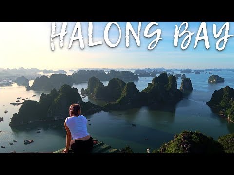 The BEST view of Halong Bay that no one knows about! The BEST view of Halong Bay that no one knows about!