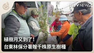 植樹月又到了！ 台東林保分署贈千株原生樹種｜每日熱點新聞｜原住民族電視台