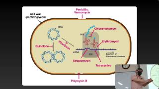 Lecture_9_2_15분반_일반생물학1_CBNU_2022_1