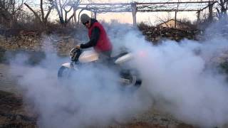 Honda Hornet 600 burnout