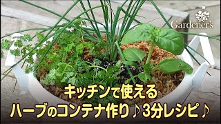 ♪春の寄せ植え3分レシピ ♪キッチンで使えるハーブのコンテナ作り