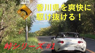 [ドライブ動画] 香川県のオアシス、五色台スカイラインにて山間を気持ちよく駆け抜ける！[峠シリーズ #1][Japanese pass, touge]