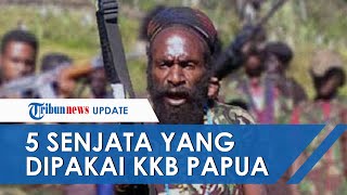 Tantang Aparat, Ternyata KKB Papua Pakai 5 Senjata Mematikan Termasuk Senapan Canggih Buatan Austria