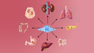 The Bull’s Eye: New Modified Stem Cells Can Deliver Drugs Specifically to Tumor Cells