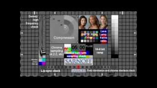 Sarnoff Visualizer Test Pattern