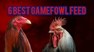 6 Best Gamefowl Feed