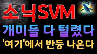 [소닉svm]소닉svm 더이상 당하지 마시고 이렇게 대응하세요 #소닉svm #소닉SVM #소닉svm코인 #소닉svm대응 #소닉svm전략 #소닉svm분석