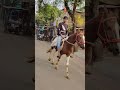 lakdi ki kathi kathi pe ghoda lakdikikathi kathipeghoda horses horseriding viralshort trending