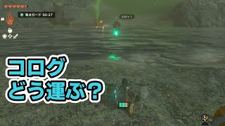 友達のところにいけるかな？コログロケット運び 【ゼルダの伝説 ティアーズ オブ ザ キングダム】