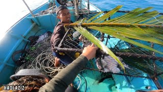 TARIK BUBU SOTONG KATAK & MEGENJUT  AYA MUSIM GELOMBANG