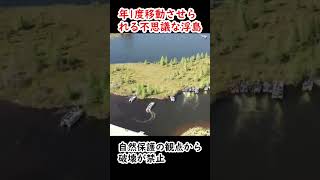 【衝撃映像】年1度移動させられる不思議な浮島　#shorts　【喜怒アイラ】 #ミステリー #衝撃映像 #おもしろ動画