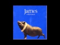 james-someone's got it in for me (lp version)