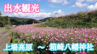 【鹿児島観光】ハイエースで出水市上場高原～箱崎八幡神社