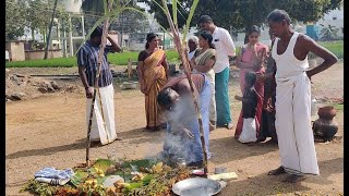 எப்படி கொண்டாடப்படுகிறது ஒரு கிராமத்து  மாட்டுப் பொங்கல்