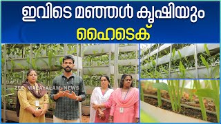 Hitech Turmeric Farm | ഹൈടെക് മഞ്ഞൾകൃഷിയിലൂടെ മണ്ണിൽ പൊന്നുവിളയിക്കുന്നു വിജയ മാതൃക | Kerala News