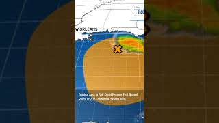 Tropical Area in Gulf Could Be...