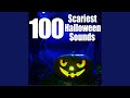 Werewolf Growl (Animal) (Horror)