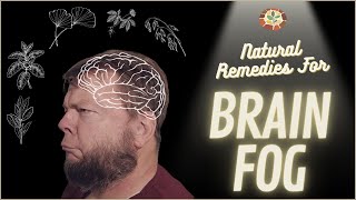 Natural Remedies for Brain Fog - Plants that Support Cognition, Memory, and Focus